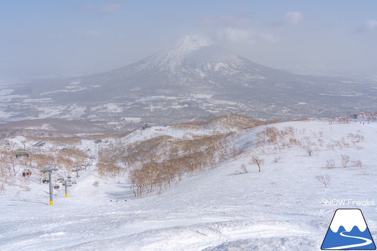 ニセコビレッジ ＆ ニセコHANAZONOリゾート ＆ ニセコ東急 グラン・ヒラフ｜現在も全エリアで山頂から山麓まで大部分滑走可能！とにかく広い世界のニセコ(^^)v